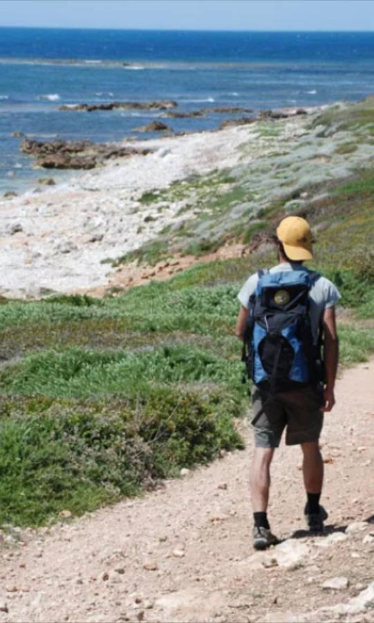 Windsurf Beach Front Torre Grande Εξωτερικό φωτογραφία