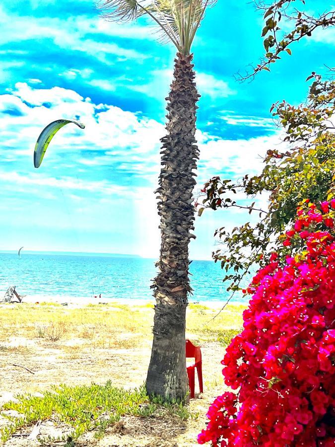 Windsurf Beach Front Torre Grande Εξωτερικό φωτογραφία