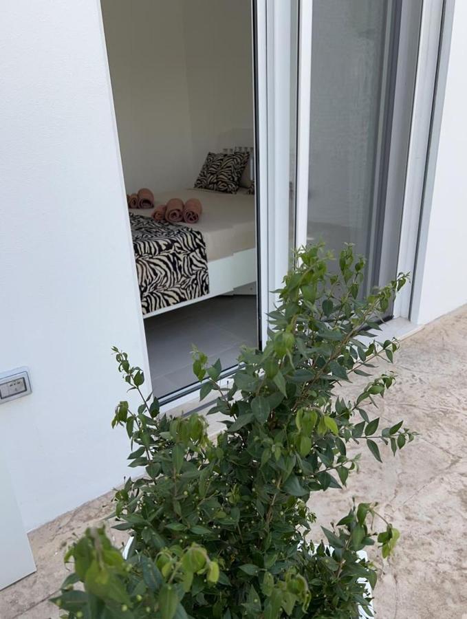 Windsurf Beach Front Torre Grande Εξωτερικό φωτογραφία