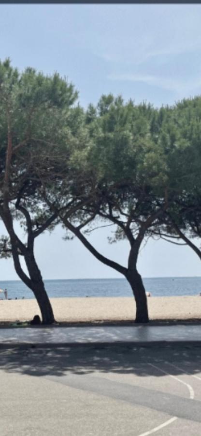 Windsurf Beach Front Torre Grande Εξωτερικό φωτογραφία