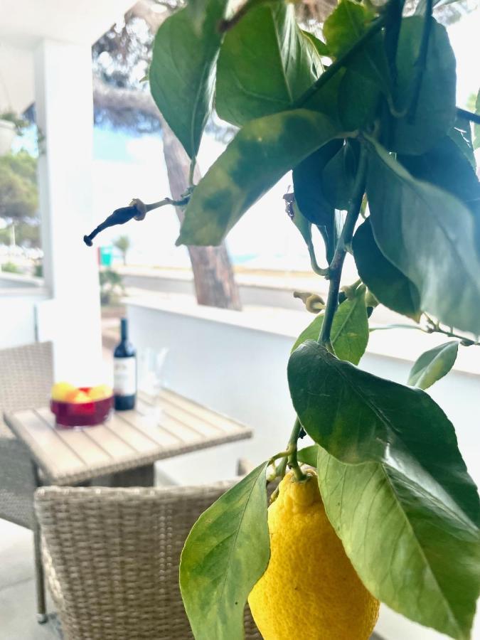 Windsurf Beach Front Torre Grande Εξωτερικό φωτογραφία
